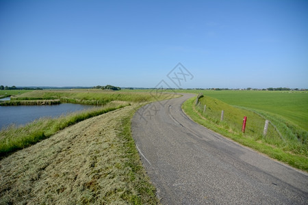 对比自然土地荷兰有堤坝和草地的荷兰风景图片