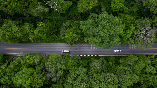 木头穿越森林的空中景观路穿过绿色森林的道路中空顶视车从上方看森林景观的纹理生态系统和健康环境的概念和背景最佳丛林背景图片