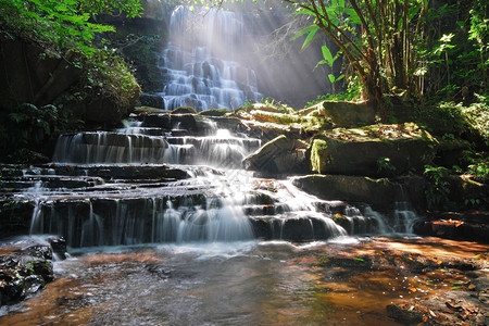 新鲜国民美丽的泰家公园瀑布曼当普欣隆卡拉公园碧差汶府泰国夏季图片