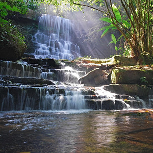 湿的树泰公园的瀑布曼当普欣隆卡拉公园碧差汶府泰国夏季户外图片