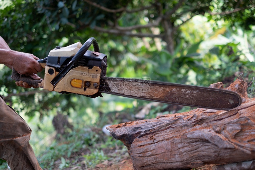 人类一个男用旧的电锯木树桩柴艺师图片