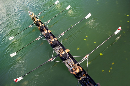竞赛纤维挑战在宁静的湖上划船搭乘八艘轮图片