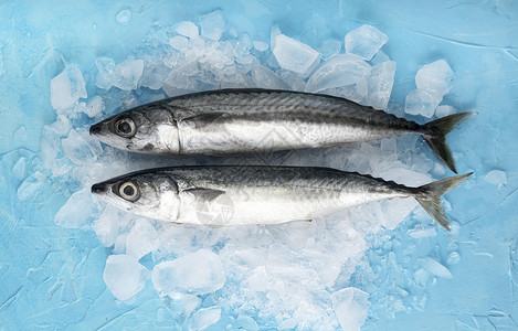 有冰的鱼高分辨率照片顶透光冰的鱼高品质照片海洋鲜午餐图片