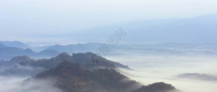 树木头莫冬天的雾在山上冬季的雾图片