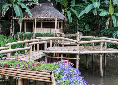 丰富多彩的曲线与植物园小湖边的花旗挂在竹桥上的子绿色图片
