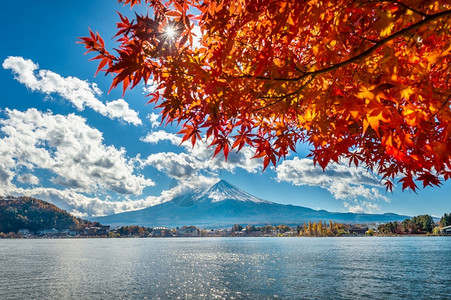季节落下日本川口子湖的秋季山和藤亚洲图片