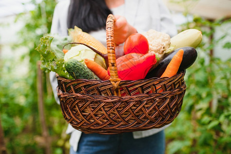 在温室里新鲜的秋天蔬菜收成乐趣农民图片
