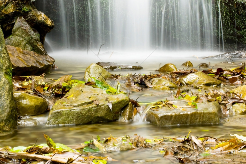 喷森林中的小瀑布有岩石和落叶子春天图片