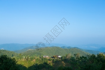 在山上生长的村落树覆盖山丘背景中乡村的顶峰夏天图片