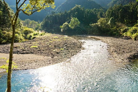 风景优美宽的河流来自森林地表宽阔的水面流动图片