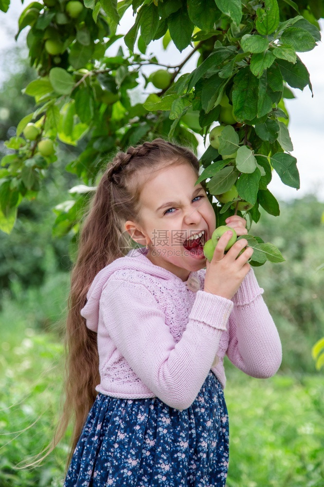 成熟绿色夏日阳光明媚的白天苹果树枝中可爱的小女孩在夏日阳光晴朗的白天在苹果树枝中可爱的小女孩在花园里收获苹果种植者图片