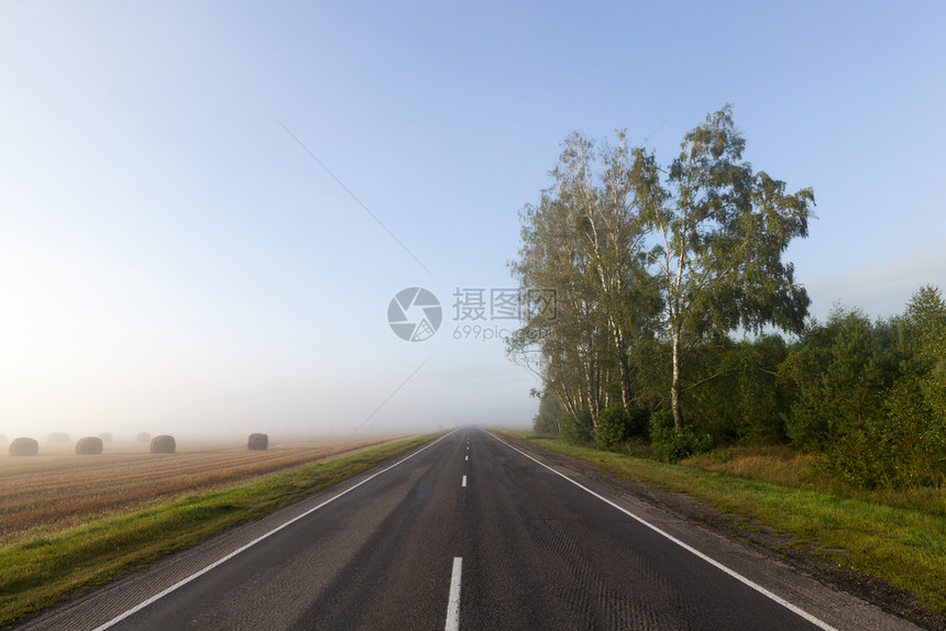 多雾路段在早晨季节的一条单独公路在大雾前森林和农田两侧的雾路旁富有的谷图片