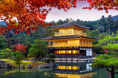 旅行建造秋天金殿堂京都寺日本花园图片