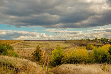 风景农业秋季黄色树叶田间道路秋天在田间公路上的男人小图片