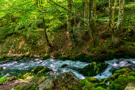 溪流荒野黑山森林中河流的连累黑山森林中的河丰富多彩图片