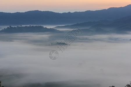 太阳公园森林山顶云雾缭绕图片