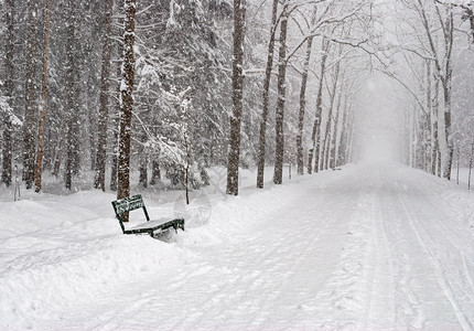 冬天在公园里漫步踪迹人行道图片