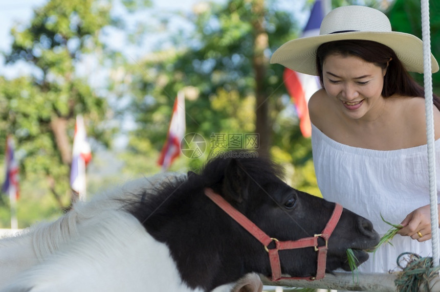 美丽的亚洲女孩在度假胜地放松时穿着白色礼服和可爱矮人马一起穿白色洋装在农场小马中与一起休闲泰国与小马一起娱乐女士亚洲人天图片