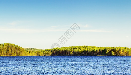 夏日的森林湖在俄罗斯卡雷里亚蓝色的美丽爬坡道高清图片