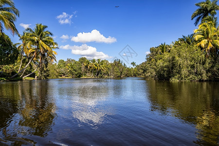 旅行棕榈和湖泊的美丽娱乐风景天公园图片