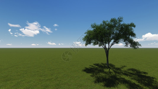 天府绿道3D软件中的绿色景观夏天全设计图片