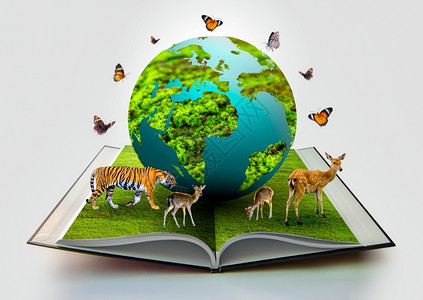 杭州野生动物世界教育地球在书本上有野生动物如老虎鹿和蝴蝶等环绕着世界养护设计图片