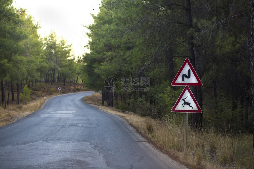 农村麈路边警告信号动物可能出来在土耳其弯曲标志三角形图片