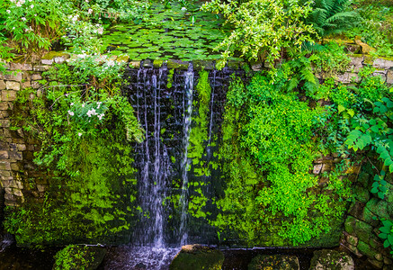河雨林池塘以瀑布美丽的园艺建筑自然背景而结束丛林图片
