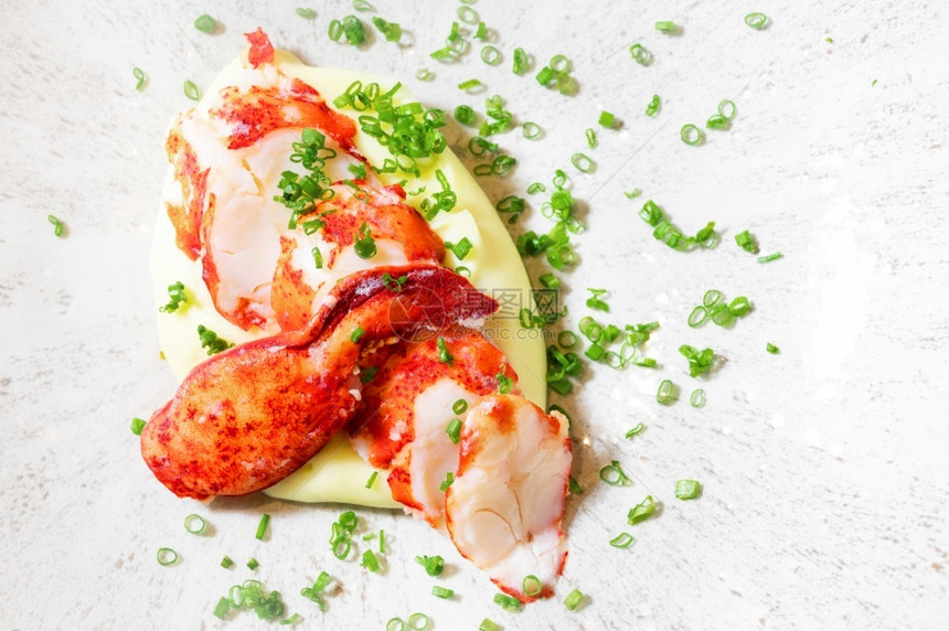 餐馆贝壳热切的龙虾肉配在盘子上高品质光相片装在盘子上一小块煮熟切的龙虾肉配在盘子上桩图片