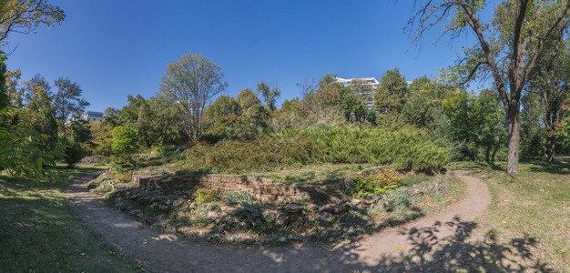 树叶公园在乌克兰敖德萨的一个植物园旧被废弃花棚中在阳光明媚的秋天花园图片