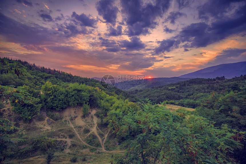 草地风景优美植物保加利亚里拉山大日落的景象保加利亚山地风景图片
