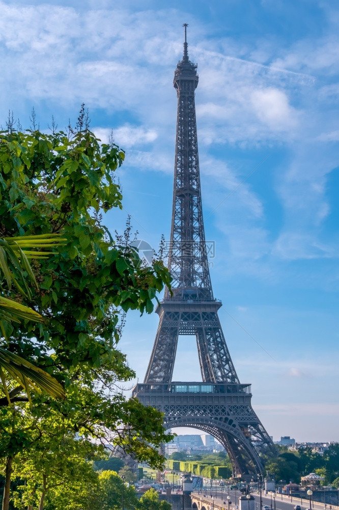 树叶纪念碑巴黎埃菲尔塔和绿树Eiffel铁塔和绿树的夏日阳光清晨旅行图片
