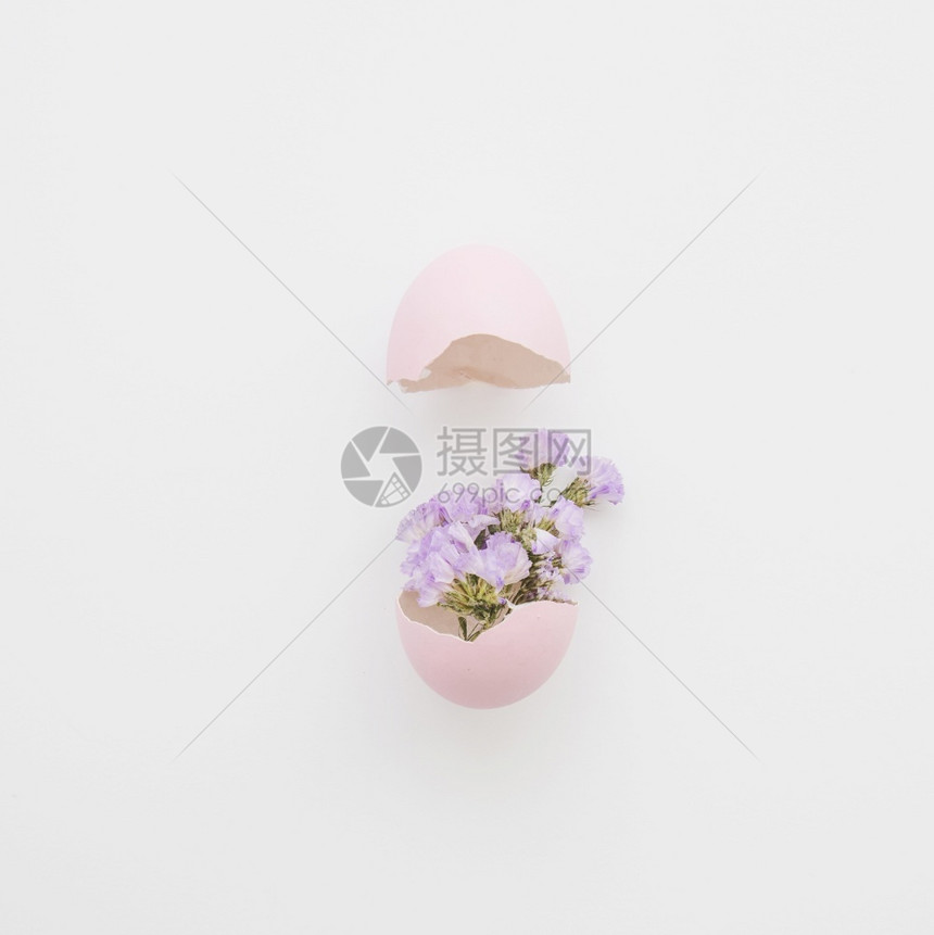 海报新生白色的高清晰度照片漂亮鲜花蛋壳优质照片高量图片