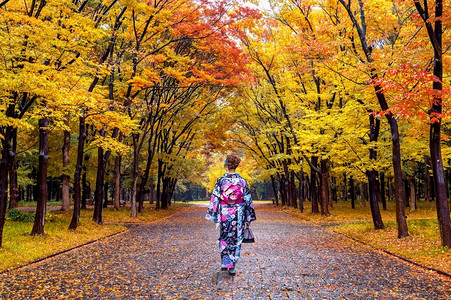 秋季森林道路上穿着和服的女性图片