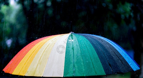 雨天彩色的雨伞图片