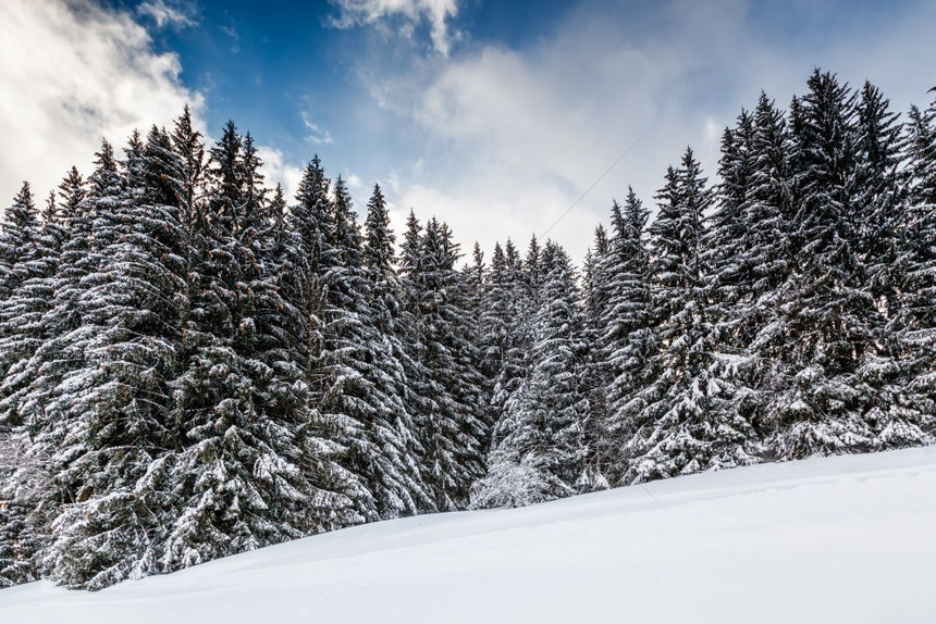冬季雪景风光图片