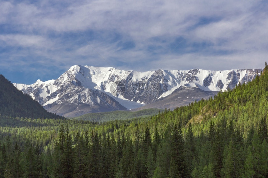 苍白美丽的冬季景观与白雪覆盖的山峰美丽冬季景观与白雪覆盖的山峰圣诞节全景图片