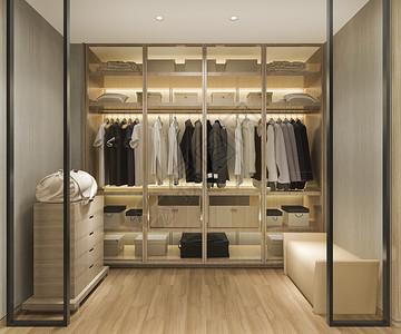 寄包柜内部的壁橱3d提供豪华的扫描型木柴用衣橱在柜中行走墙设计图片
