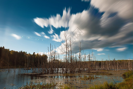 镜像景观生态系统森林湖中枯树云层模糊运动图片