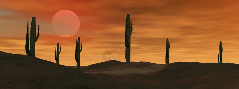 沙漠里仙人掌亚利桑那沙漠中的仙人掌在沙漠中由阴云的日落墨西哥热设计图片