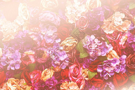 花瓣植物群墙纸粉色橙和桃玫瑰背景情人节概念的浪漫梦幻设计粉橙色和桃玫瑰背景情人节概念的浪漫梦幻设计背景图片