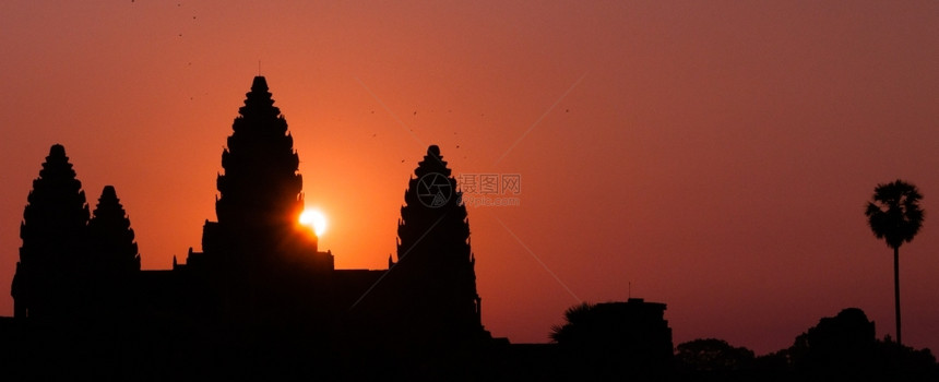 吴哥窟剪影的日出暹粒柬埔寨树纪念碑亚洲图片