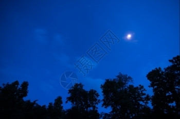 午夜闪亮的多云满月光照耀着云彩和树木图片