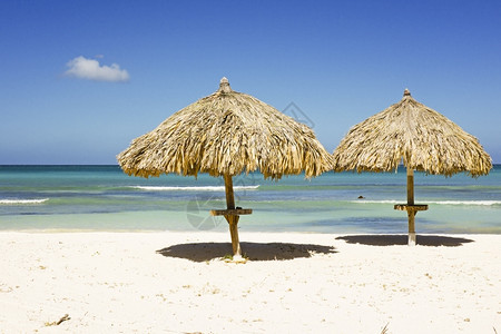 热带沙滩上的遮阳伞图片
