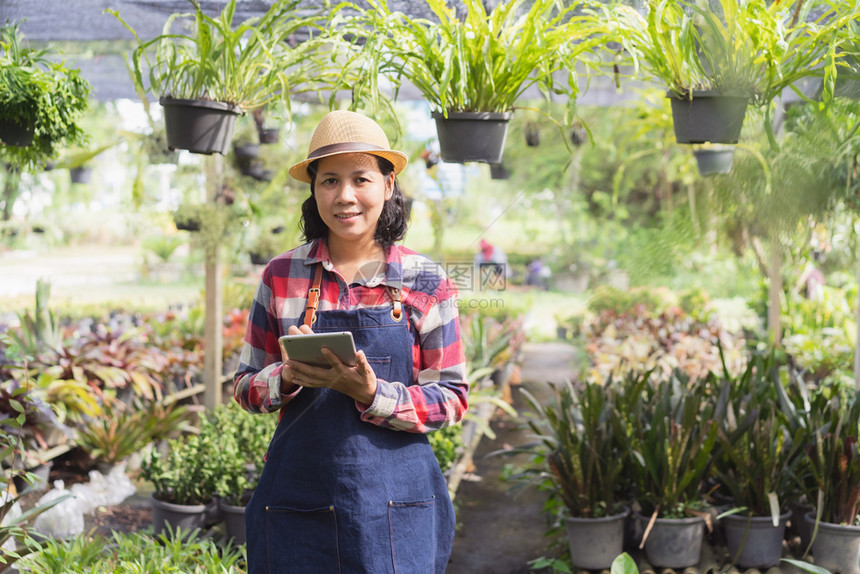亚洲妇女正在使用平板检查Ornamentmental植物商店的被小企业概念商在线的衬套农业图片