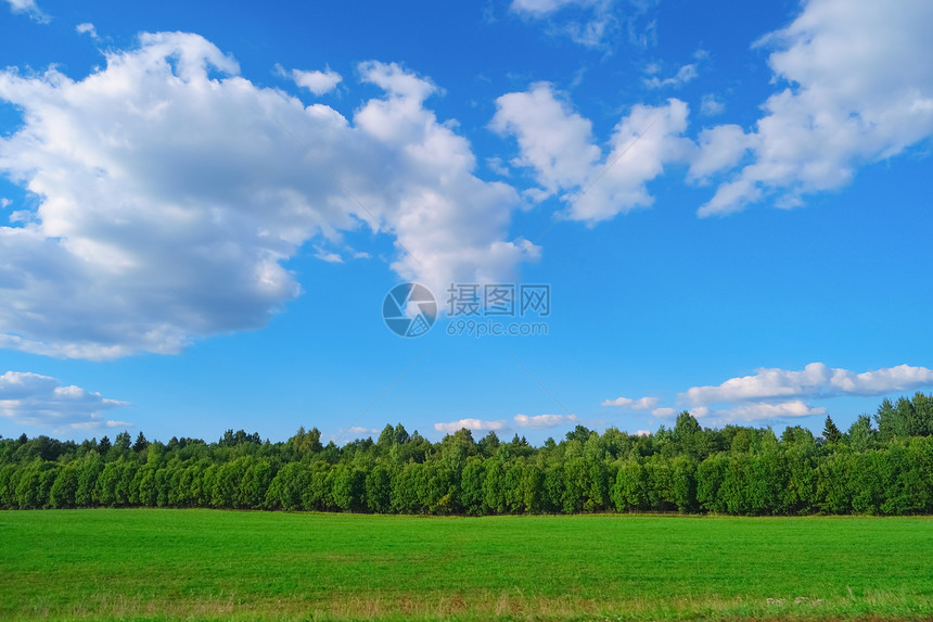 美丽的夏月风景有蓝天空云树木和草户外原图片