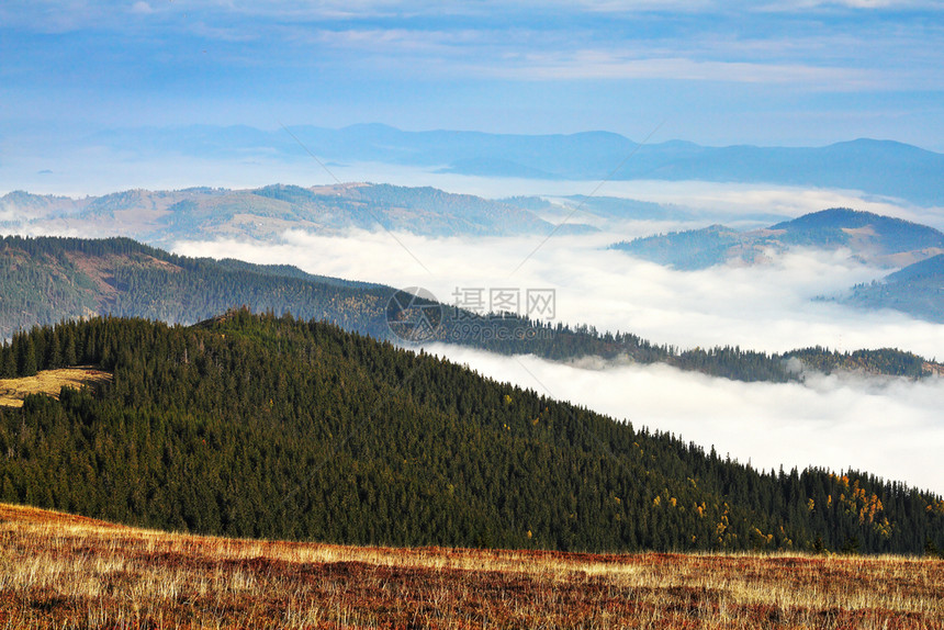 森林在喀尔巴阡山的岳和谷之间有雾喀尔巴阡山脉旅行图片