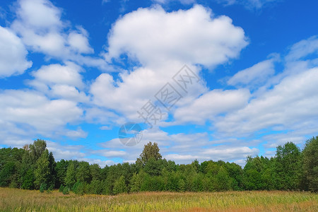 景观绿色农村美丽的夏月风景有天空云草和树木图片