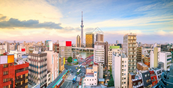 日落时本东京浅草地区的顶端景色树寺庙建造高清图片