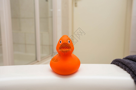 浴室洗手间橙色橡皮鸭背景图片